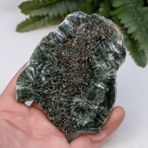 Seraphinite #5