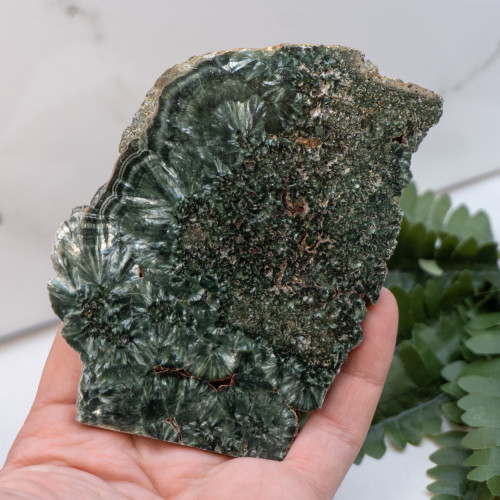 Seraphinite #1