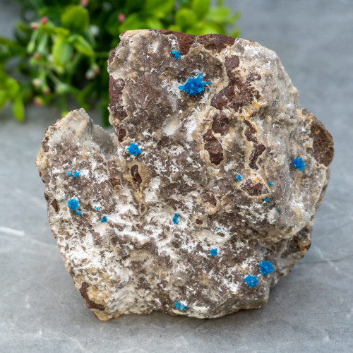 Cavansite on Stilbite #1