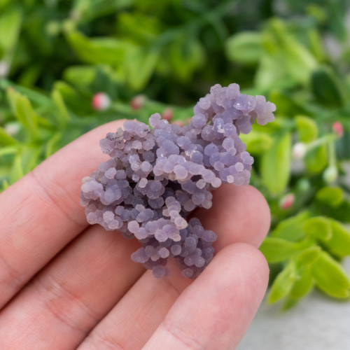 Medium Grape Agate #6