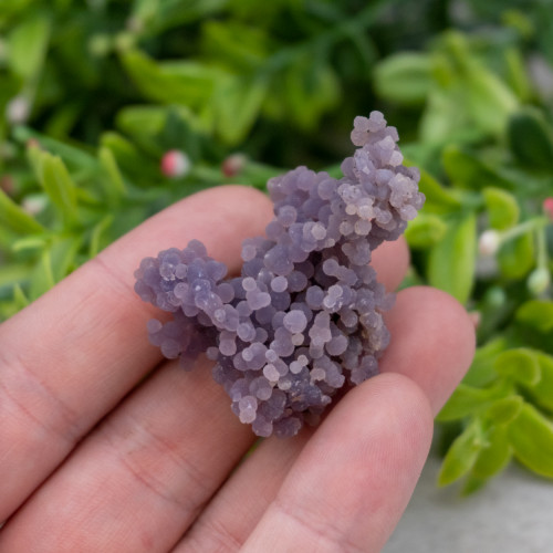 Medium Grape Agate #6