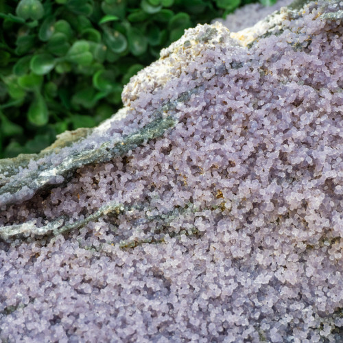 Large Grape Agate #6