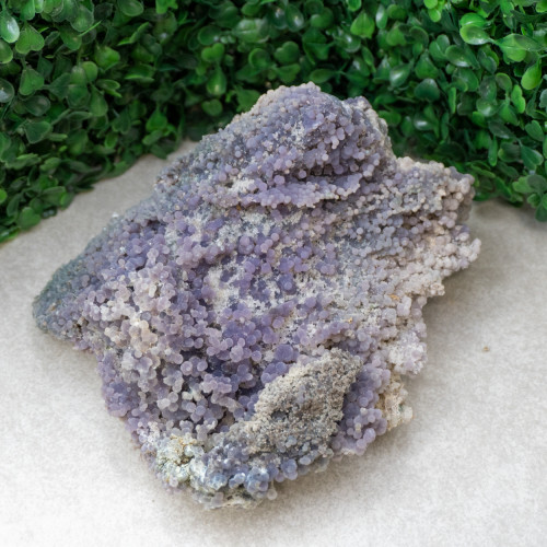 Large Grape Agate #5