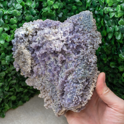 Large Grape Agate #5