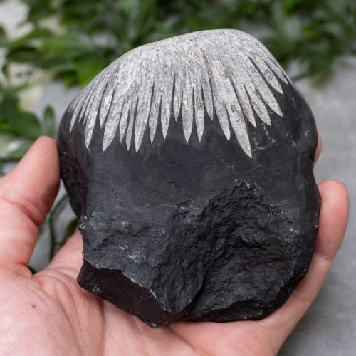 Chrysanthemum Stone Raw #6