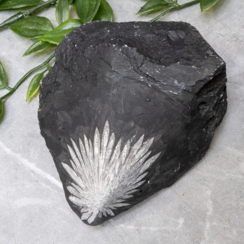 Chrysanthemum Stone Raw #1