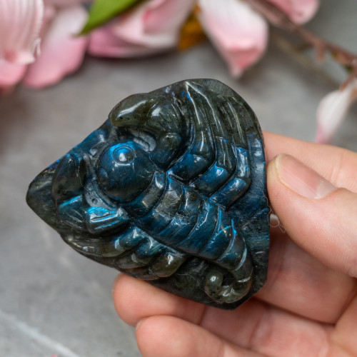 Labradorite Scorpion #1