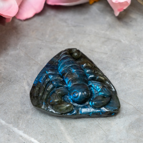 Labradorite Scorpion #1