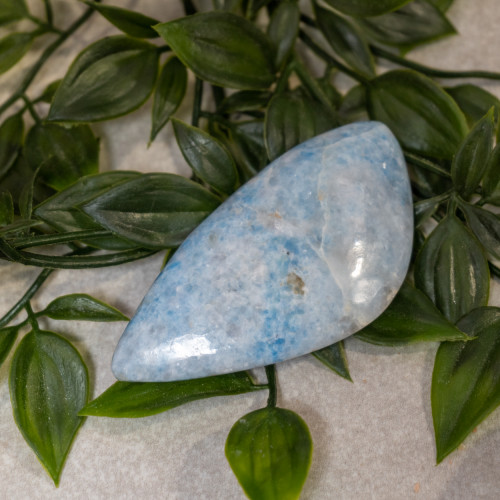 Violan (Blue Diopside) #1