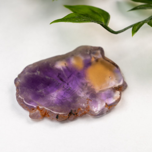 Ametrine Slice #3