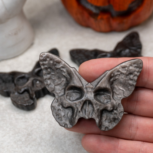 Silver Sheen Obsidian Death's-head Hawkmoth