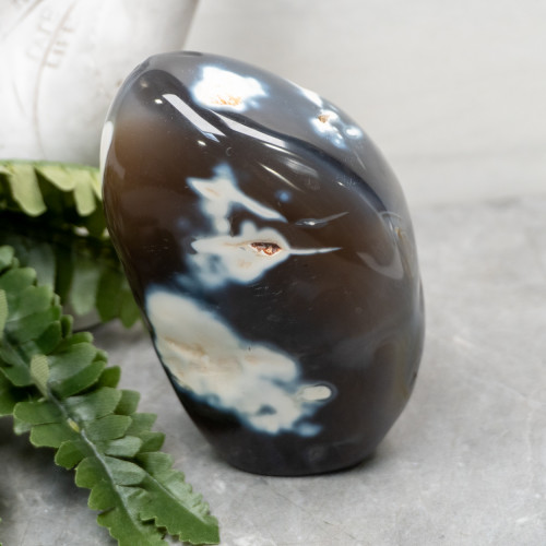 Orca Agate Free Form #5