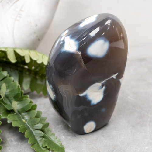 Orca Agate Free Form #5