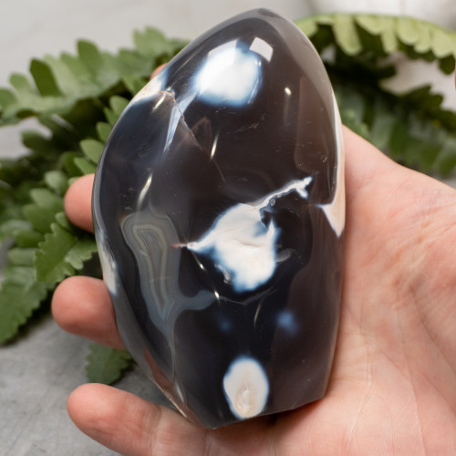 Orca Agate Free Form #5