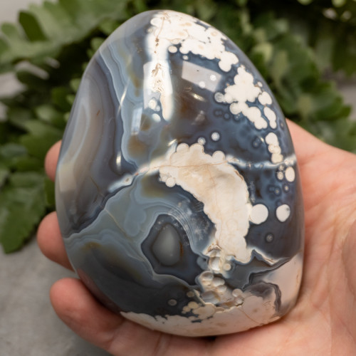 Orca Agate Free Form #2