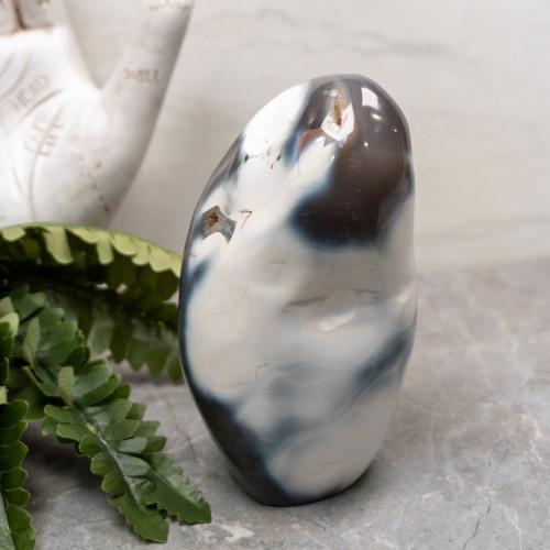 Orca Agate Free Form #1
