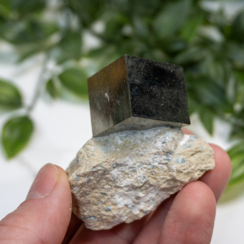 Pyrite Cube in Matrix #8