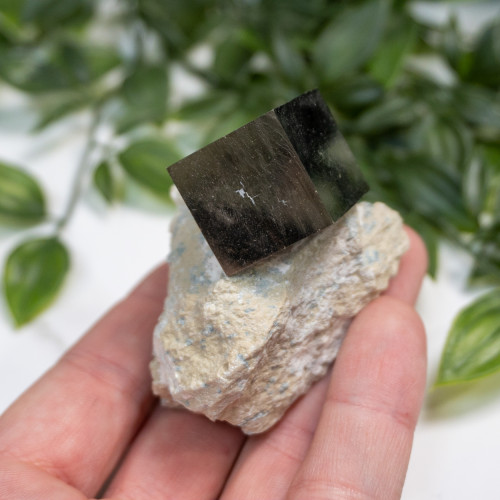 Pyrite Cube in Matrix #8