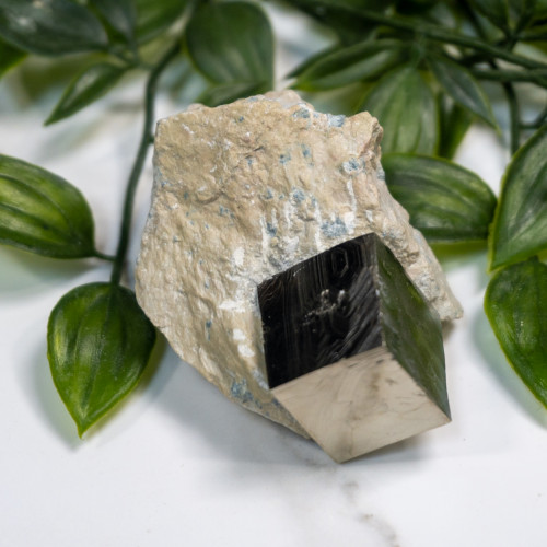 Pyrite Cube in Matrix #5