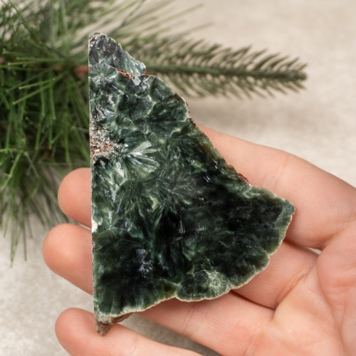 Seraphinite #5