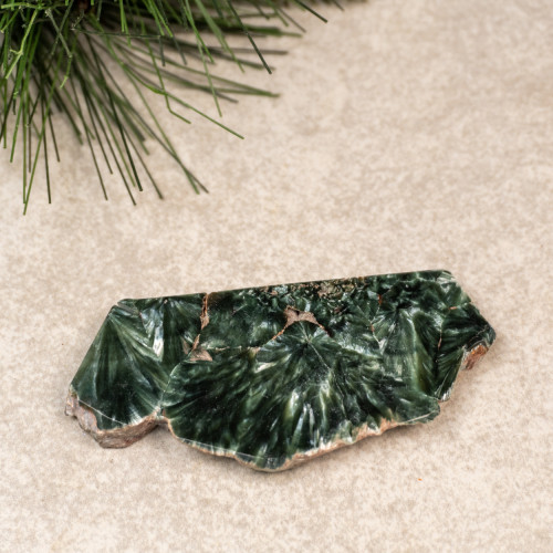 Seraphinite #4