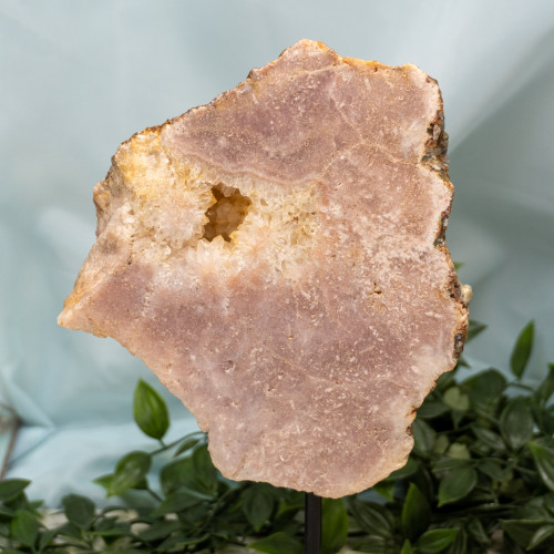 Pink Amethyst w Stand #3