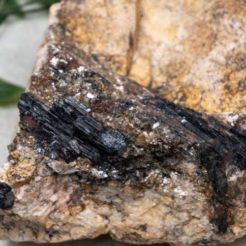 Black Tourmaline in Feldspar #5