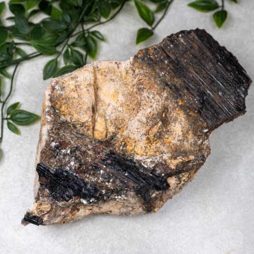 Black Tourmaline in Feldspar #5