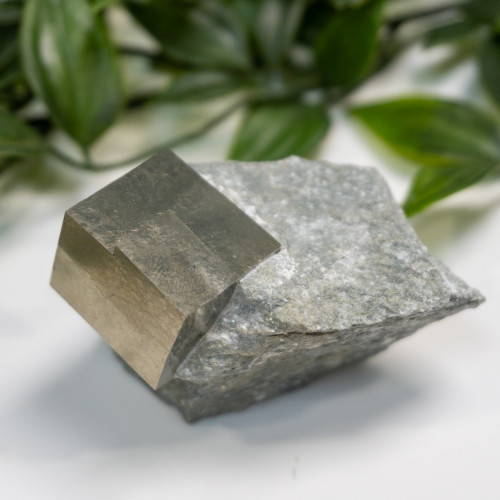 Pyrite Cube in Matrix #1