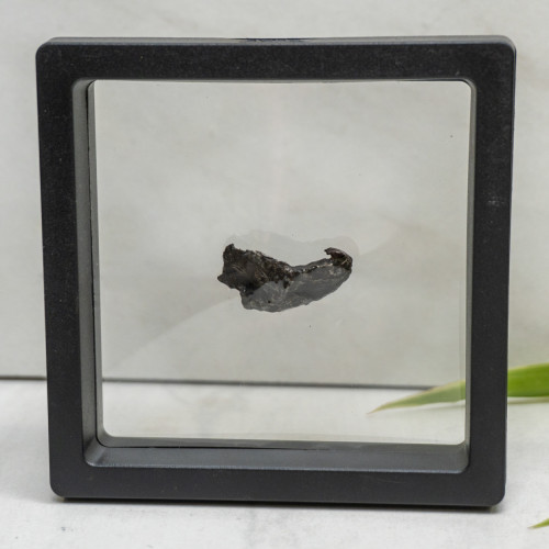 Natural Sikhote-Alin Meteor #6