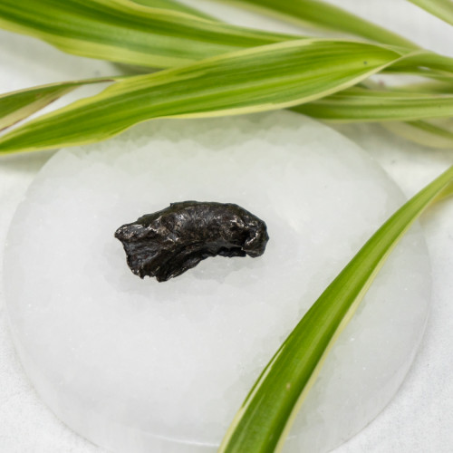 Natural Sikhote-Alin Meteor #6