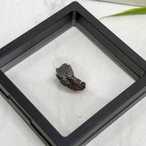 Natural Sikhote-Alin Meteor #6