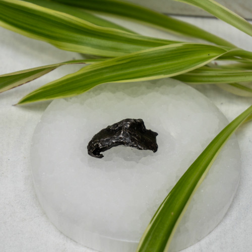 Natural Sikhote-Alin Meteor #6