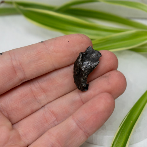 Natural Sikhote-Alin Meteor #6