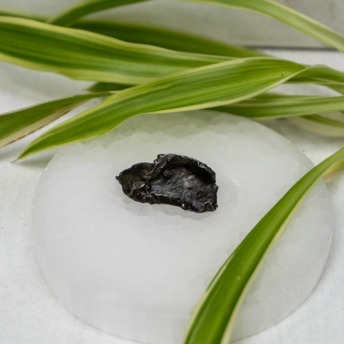 Natural Sikhote-Alin Meteor #8