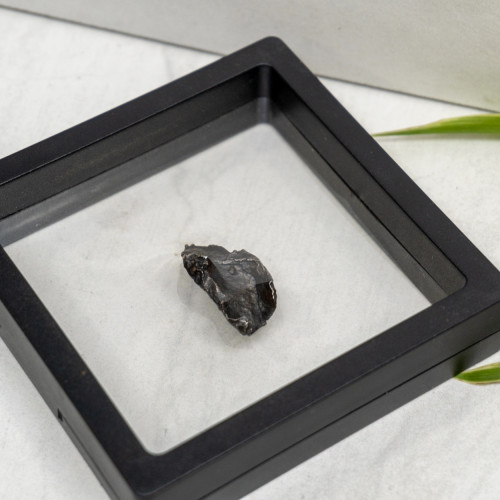 Natural Sikhote-Alin Meteor #8