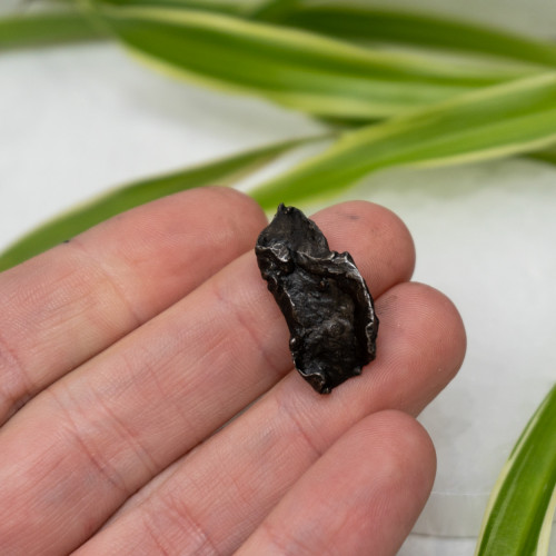 Natural Sikhote-Alin Meteor #8