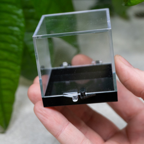 Small Plastic Gem Display Case