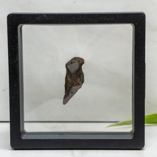 Natural Sikhote-Alin Meteor #9