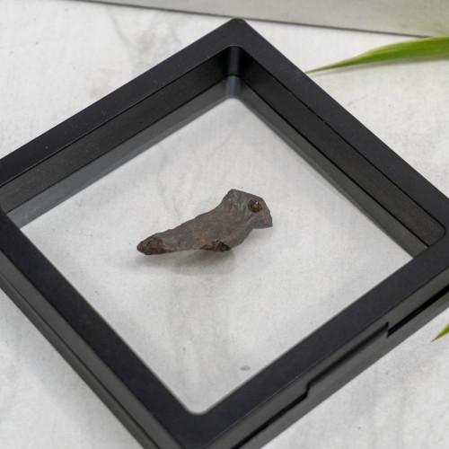 Natural Sikhote-Alin Meteor #9