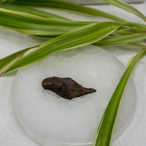 Natural Sikhote-Alin Meteor #9