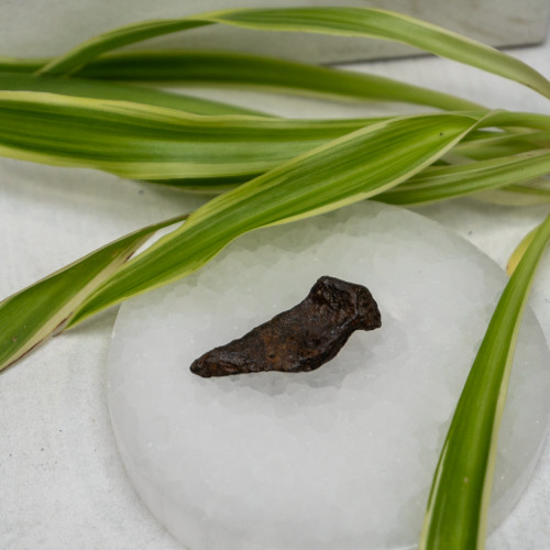 Natural Sikhote-Alin Meteor #9