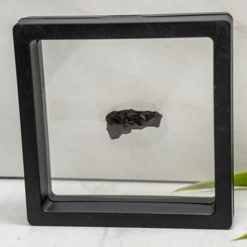 Natural Sikhote-Alin Meteor #5