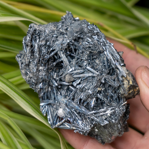 Stibnite #8