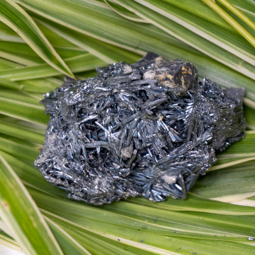 Stibnite #8