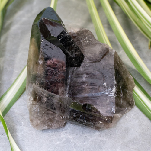 Raw Smoky Quartz #1