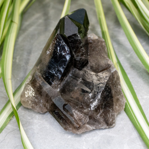 Raw Smoky Quartz #1