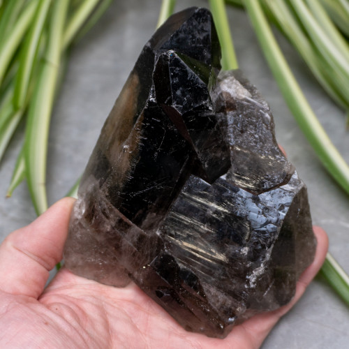 Raw Smoky Quartz #1