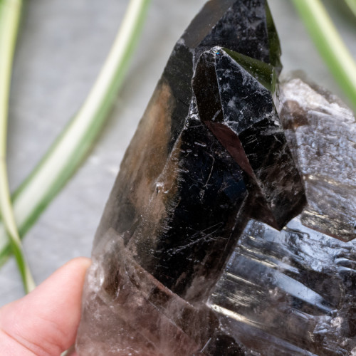 Raw Smoky Quartz #1