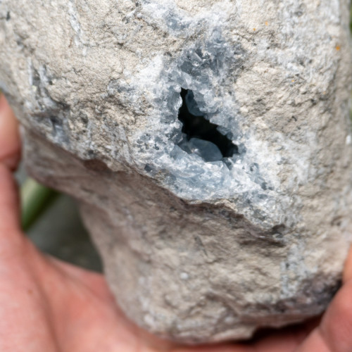 XL Celestite Geode #3